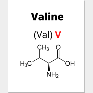 Amino acid Valine Posters and Art